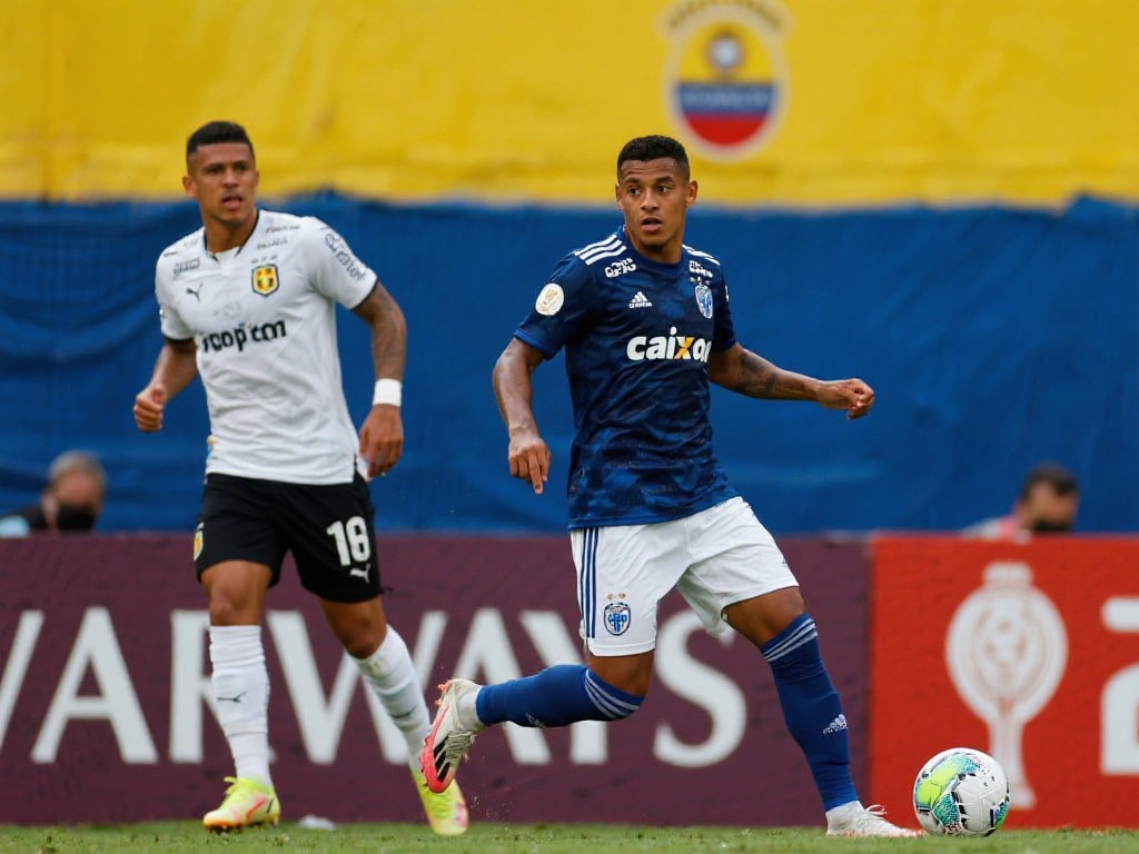 场的稳定表 场的稳定表